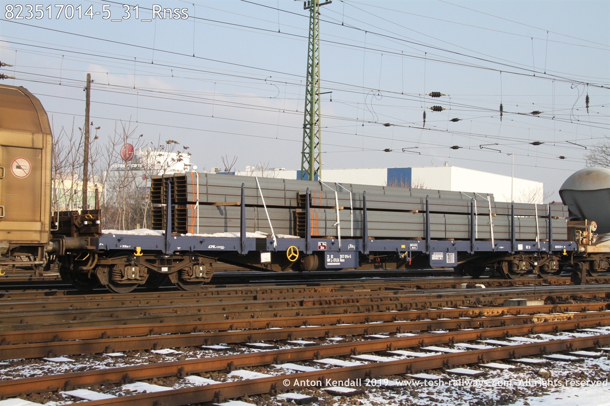 823517014-5_31_Rnss.JPG